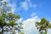 2014-10-29, 039, Blue Angels Practice Overhead