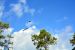 2014-10-29, 041, Blue Angels Practice Overhead