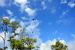 2014-10-29, 043, Blue Angels Practice Overhead