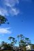 2014-11-07, 006, Blue Angels Practice Overhead