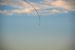 2014-11-07, 021, Blue Angels Practice Overhead
