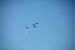 2014-11-09, 019, Blue Angels Overhead
