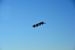 2014-11-09, 045, Blue Angels Overhead
