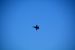 2014-11-09, 050, Blue Angels Overhead