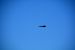 2014-11-09, 052, Blue Angels Overhead