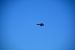 2014-11-09, 053, Blue Angels Overhead