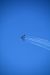 2014-11-09, 066, Blue Angels Overhead