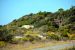 2014-10-31, 044, Battery 234, Santa Rosa Island