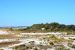 2014-10-31, 057, Battery Cooper, Santa Rosa Island