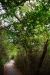 2014-10-31, 007, Naval Live Oaks, Gulf Shores NS