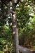 2014-10-31, 010, Naval Live Oaks, Gulf Shores NS