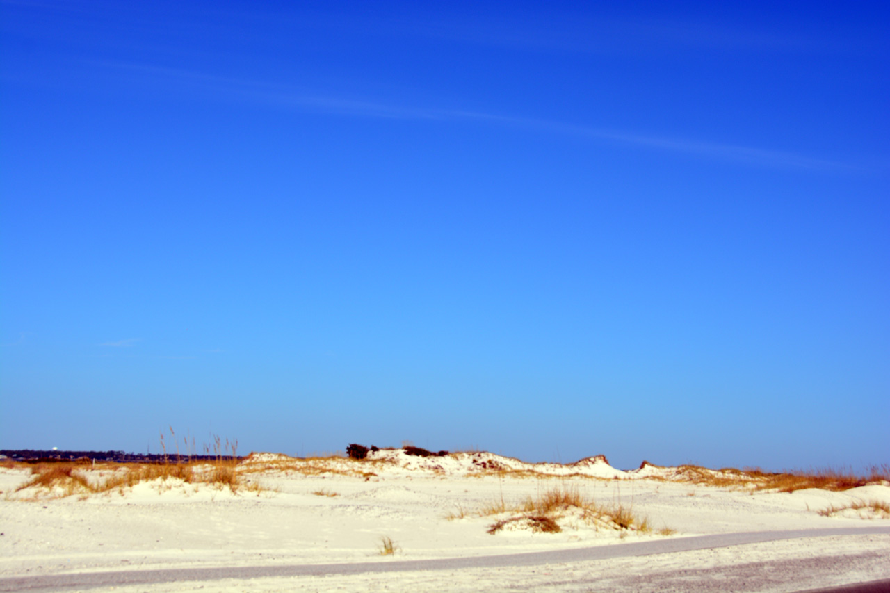 2014-11-03, 004, Santa Rosa Island, Gulf Shores NS