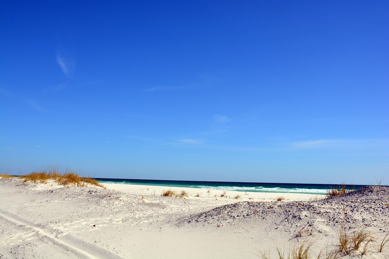 2014-11-03, 006, Santa Rosa Island, Gulf Shores NS