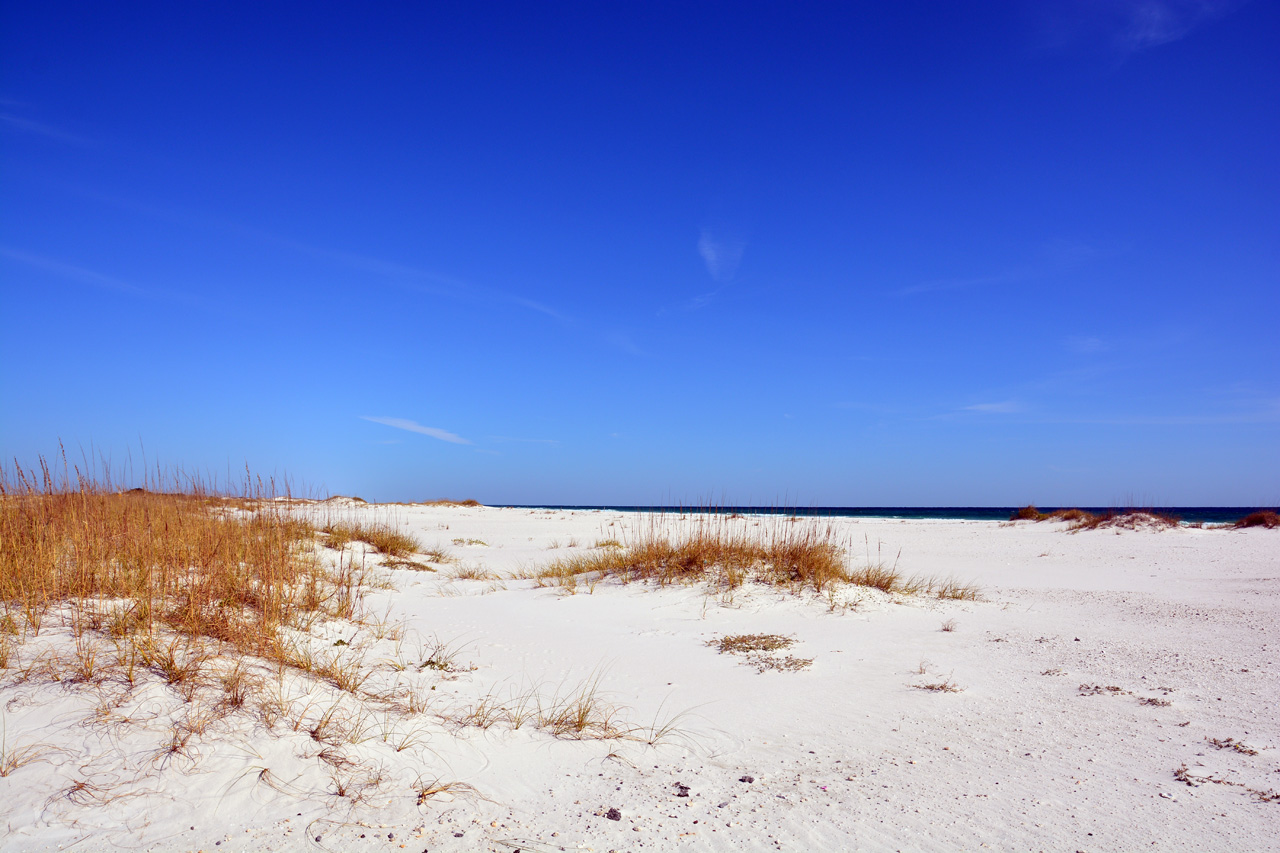 2014-11-03, 008, Santa Rosa Island, Gulf Shores NS