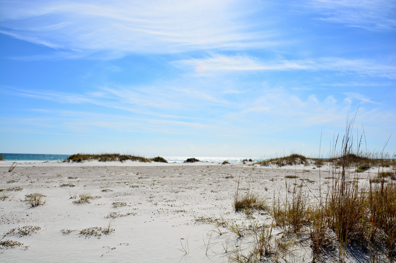 2014-11-03, 009, Santa Rosa Island, Gulf Shores NS