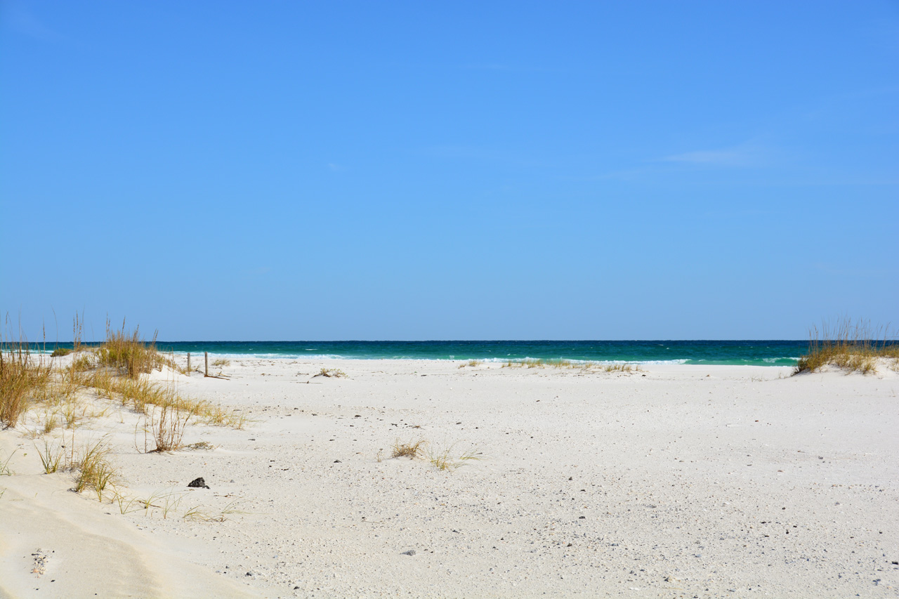 2014-11-03, 011, Santa Rosa Island, Gulf Shores NS