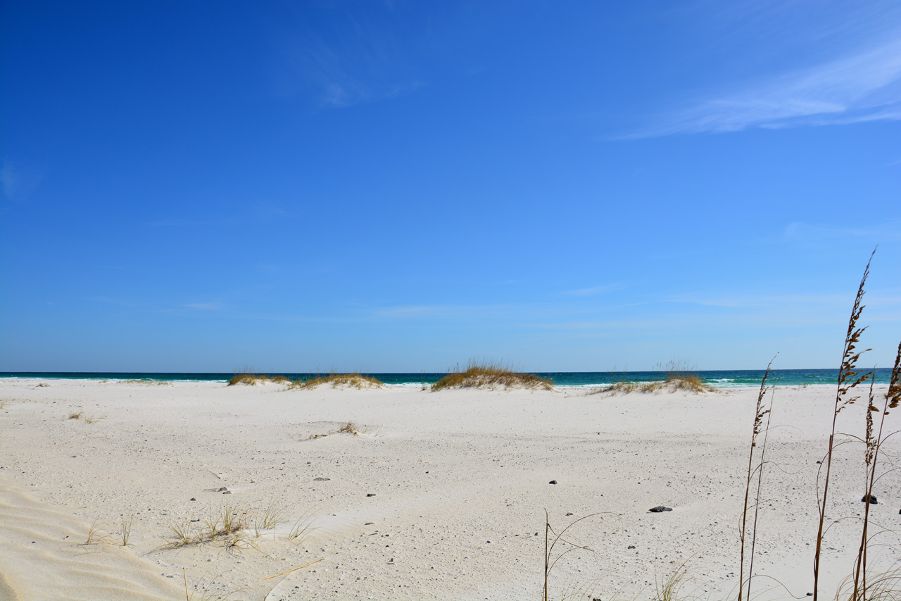 2014-11-03, 012, Santa Rosa Island, Gulf Shores NS