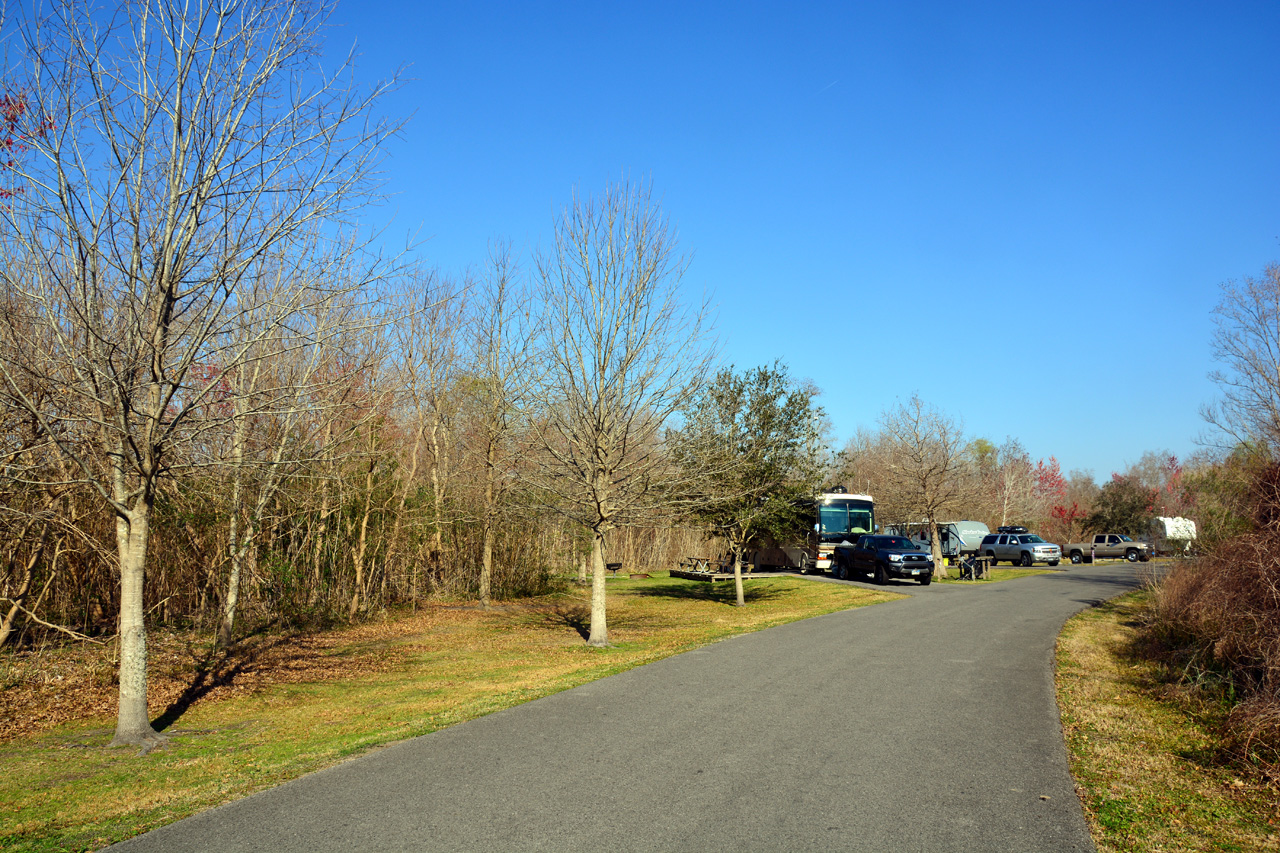 2015-02-14, 003, Bayou Segnette State Park, LA