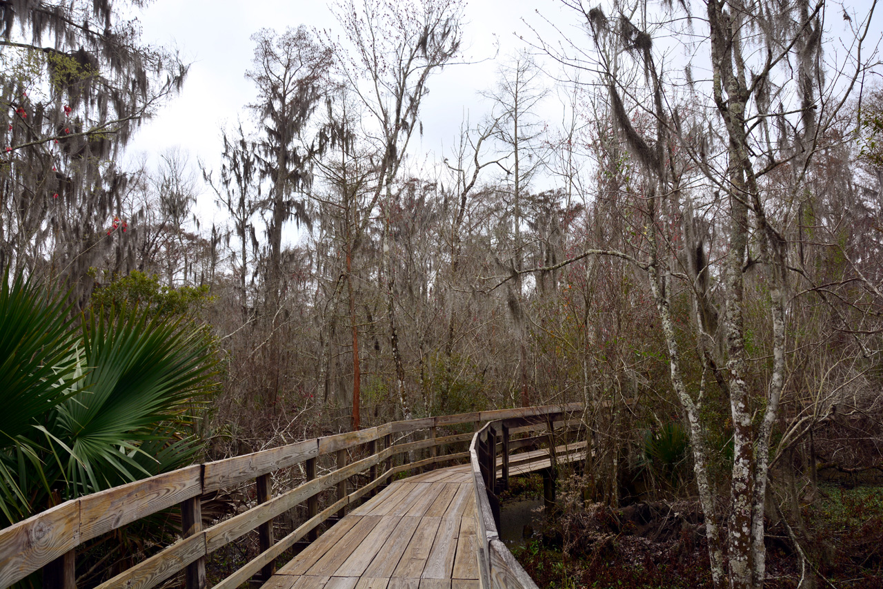 2015-02-15, 002, Jean Lafitte NP, Barataria, LA