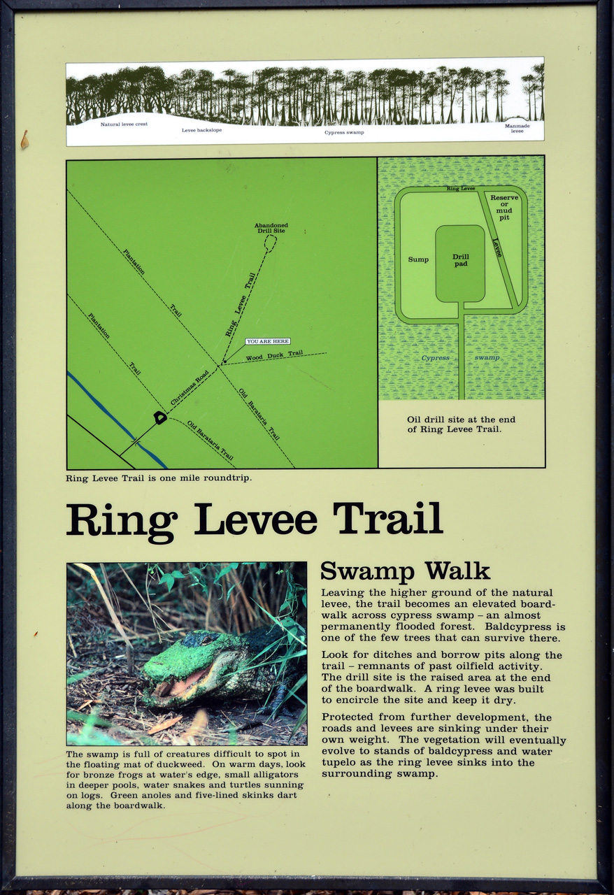 2015-02-15, 011, Jean Lafitte NP, Barataria, LA