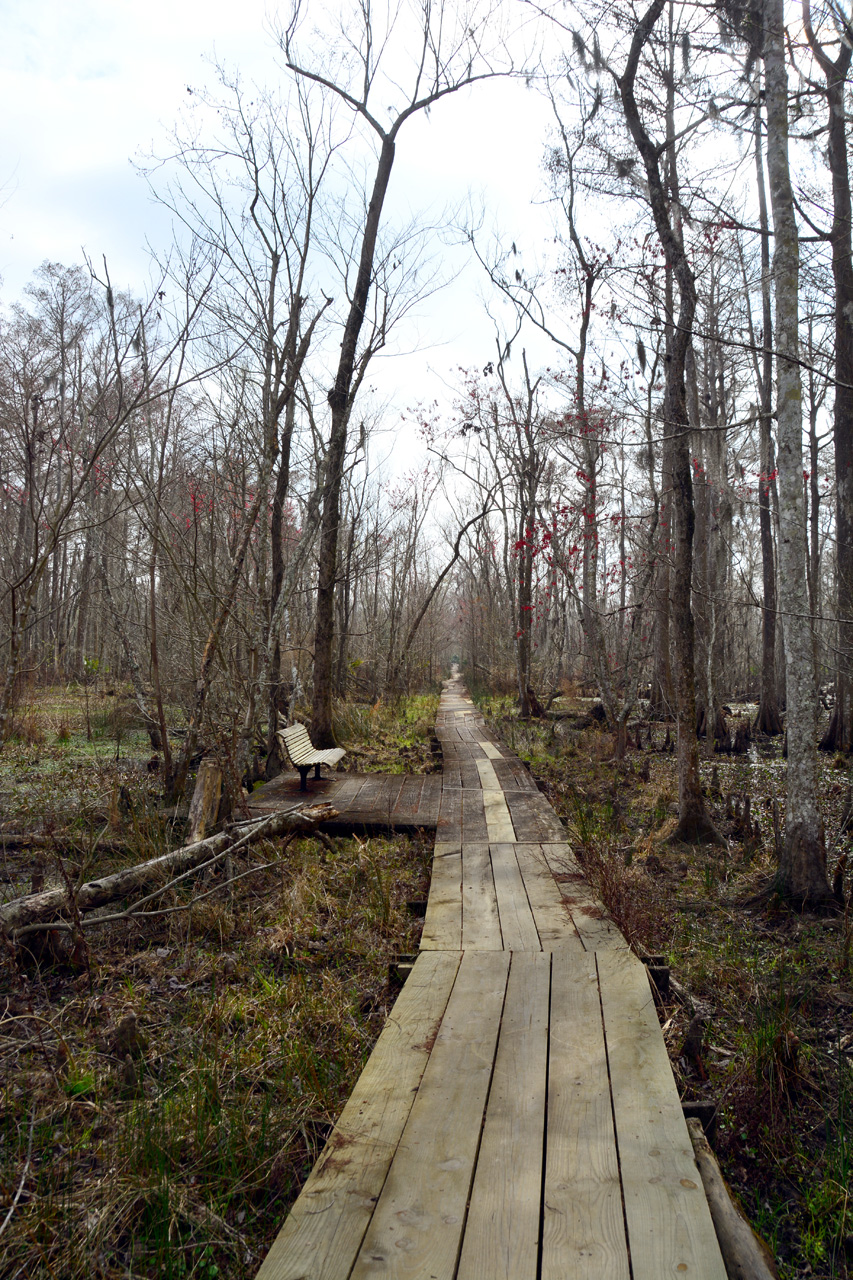 2015-02-15, 021, Jean Lafitte NP, Barataria, LA