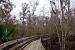 2015-02-15, 002, Jean Lafitte NP, Barataria, LA
