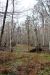 2015-02-15, 020, Jean Lafitte NP, Barataria, LA