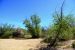 2015-04-03, 010, Agua Fria National Monument, AZ