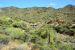 2015-04-23, 014, Apache LakeTonto NF, AZ