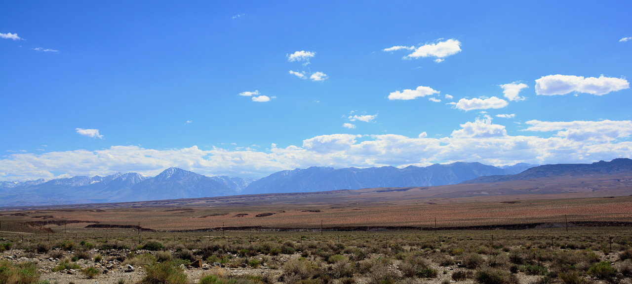 2015-06-07, 008, Along CA-6