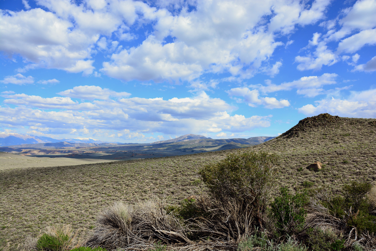 2015-06-12, 002, Along CA-120.JPG