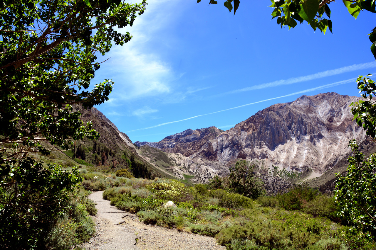 2015-06-19, 009, Concivts Lake, INYO National Forest, CA