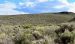 2015-06-12, 005, Wild Horses, Along CA-120.JPG