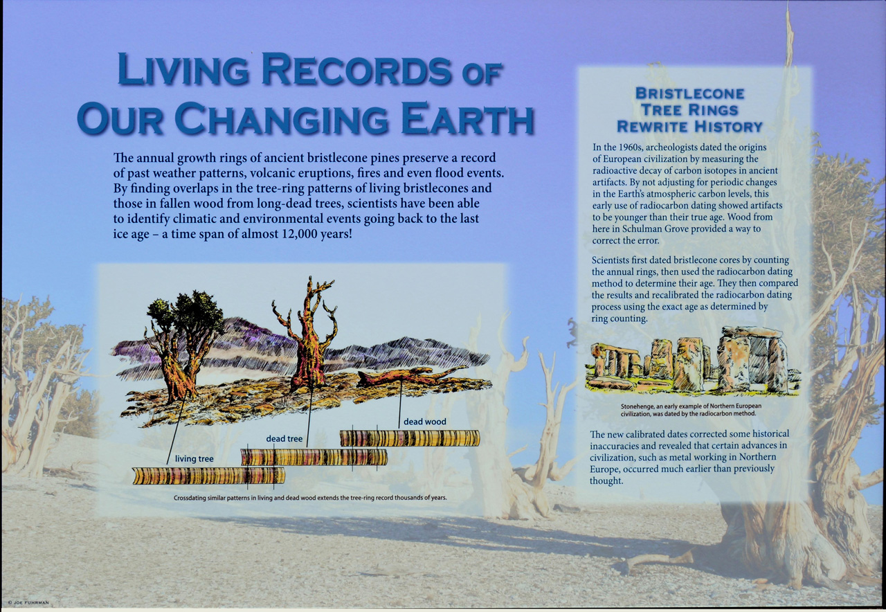 2015-06-01, 010, Ancient Bristlecone Pine Forest, CA