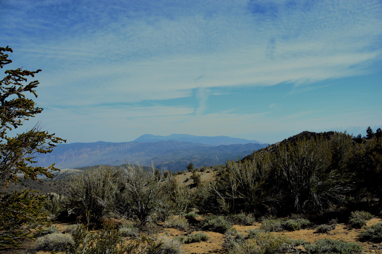 2015-06-01, 027, Schulman Grove - Methuselah Trai
