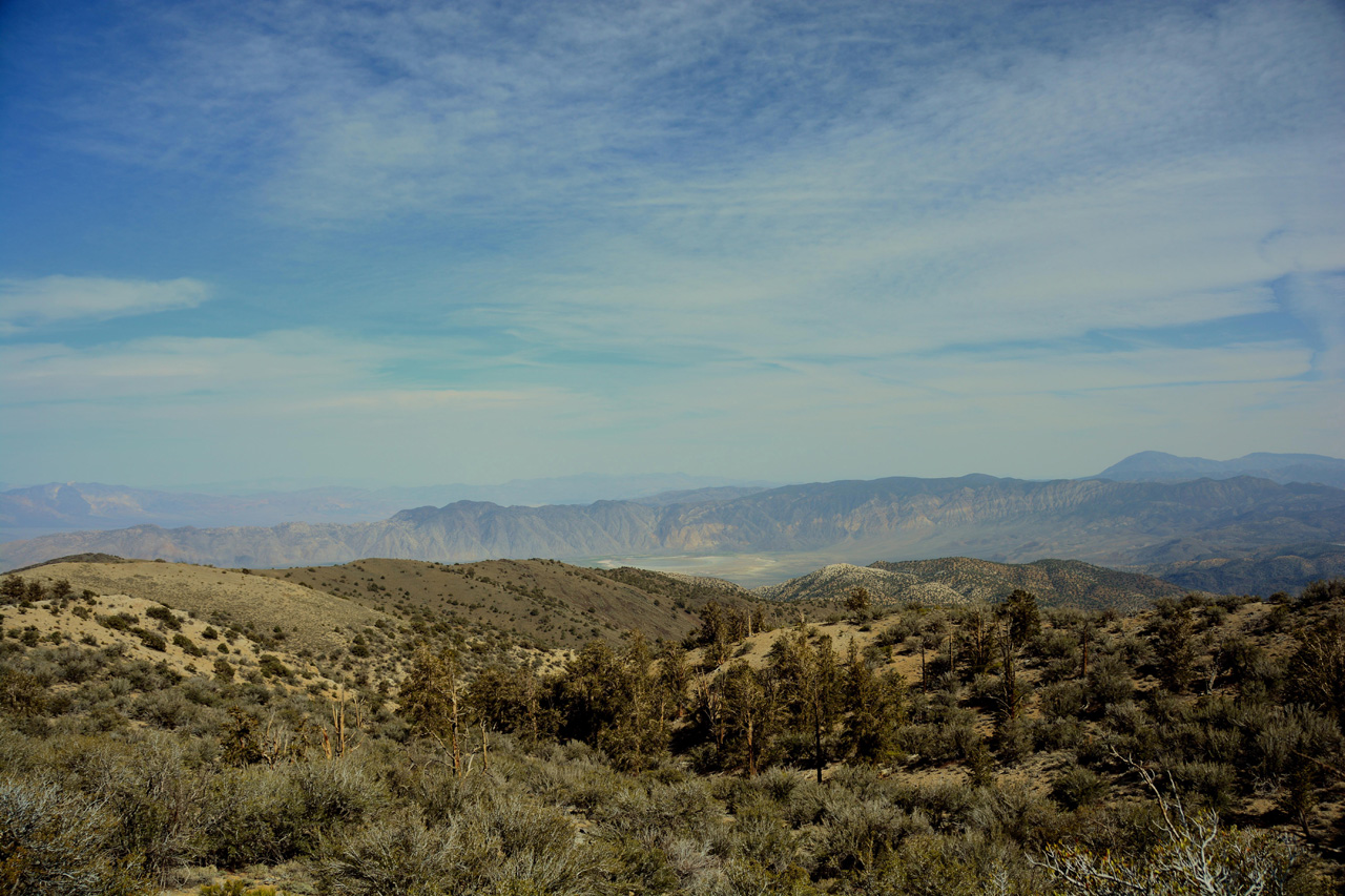 2015-06-01, 028, Schulman Grove - Methuselah Trai