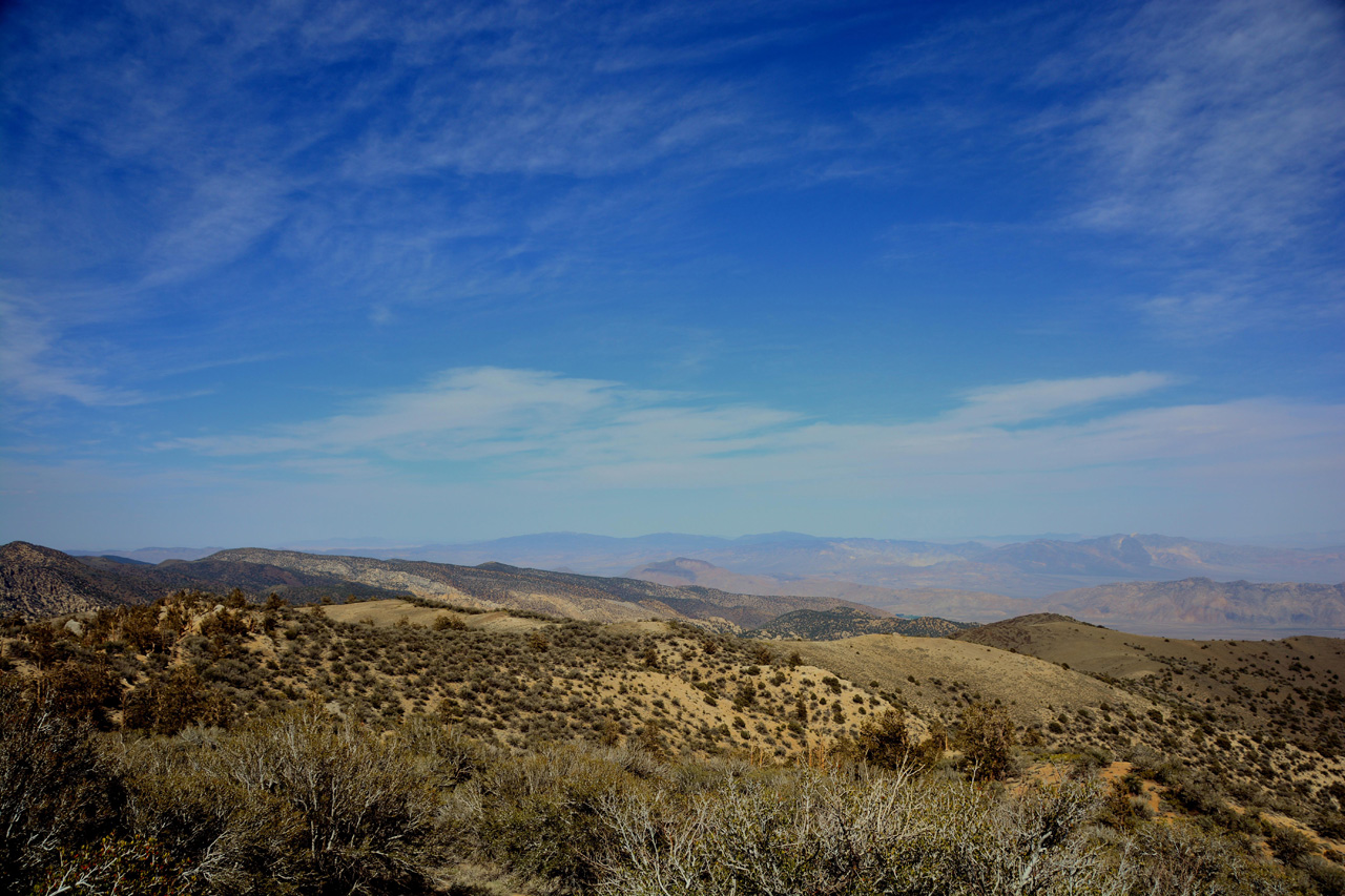 2015-06-01, 029, Schulman Grove - Methuselah Trai
