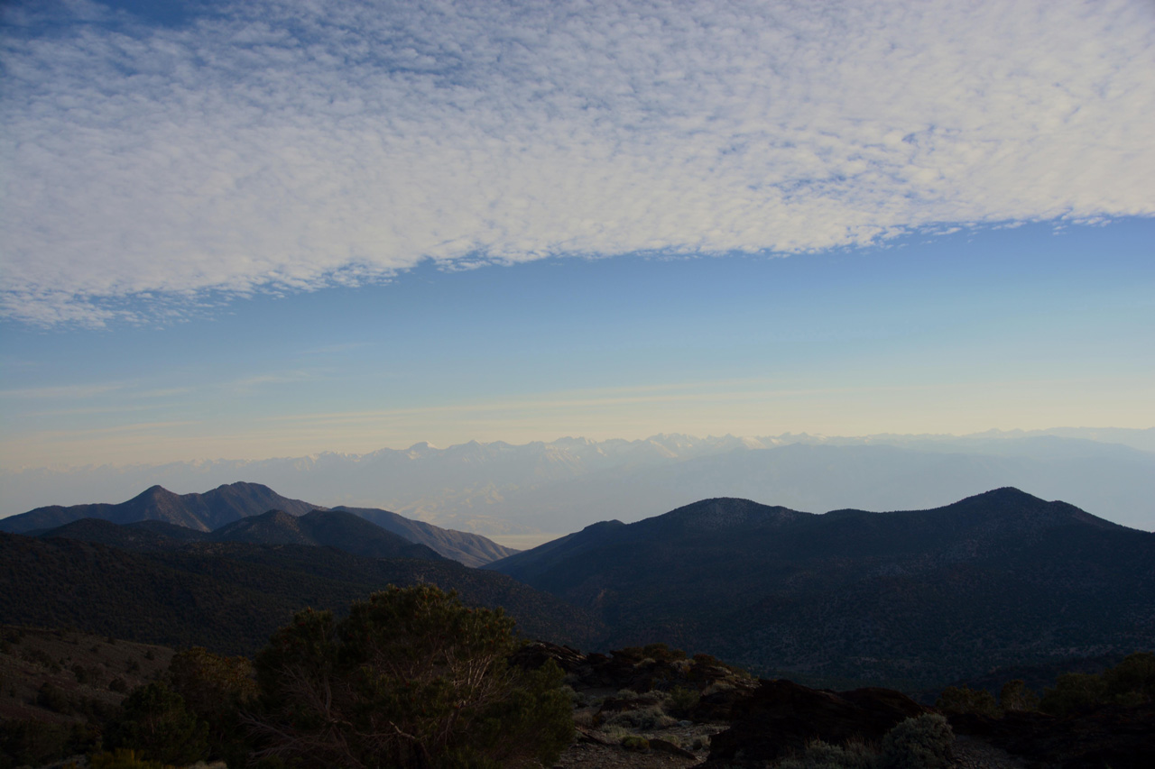 2015-06-01, 037, Ancient Bristlecone Pine Forest, CA