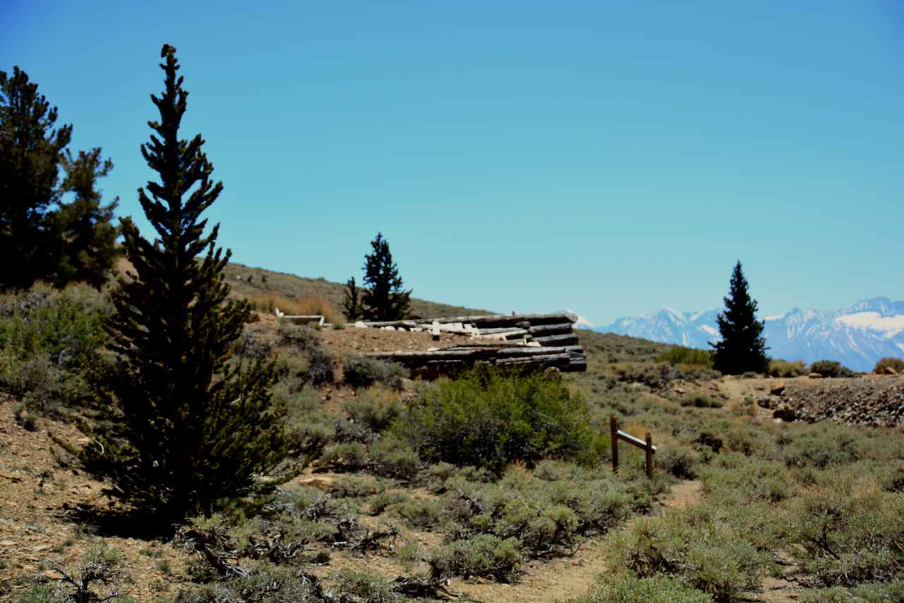 2015-06-02, 010, Schulman Grove - Bristlecone Cabin Trail