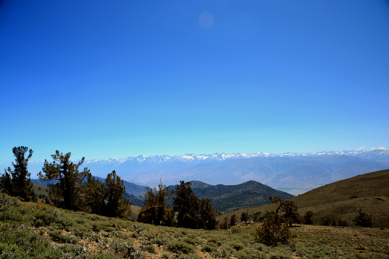2015-06-02, 020, Schulman Grove - Bristlecone Cabin Trail
