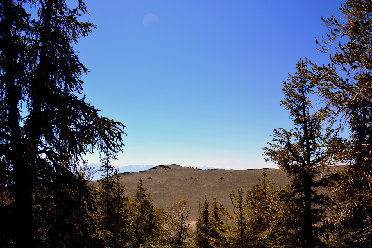 2015-06-02, 021, Schulman Grove - Bristlecone Cabin Trail