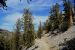 2015-06-01, 018, Schulman Grove - Methuselah Trai