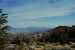 2015-06-01, 027, Schulman Grove - Methuselah Trai