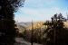 2015-06-01, 031, Schulman Grove - Methuselah Trai