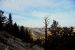 2015-06-01, 032, Schulman Grove - Methuselah Trail 