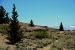 2015-06-02, 010, Schulman Grove - Bristlecone Cabin Trail
