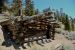 2015-06-02, 012, Schulman Grove - Bristlecone Cabin Trail