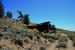 2015-06-02, 014, Schulman Grove - Bristlecone Cabin Trail