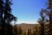 2015-06-02, 021, Schulman Grove - Bristlecone Cabin Trail