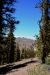 2015-06-02, 023, Schulman Grove - Bristlecone Cabin Trail